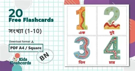 সংখ্যা নিয়ে খেলা (হার্ডকভার)